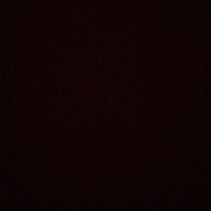 Meet your Posher, Hayley